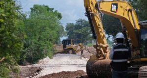 Suspenden provisionalmente obras del Tren Maya en Yucatán y Campeche