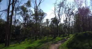 Apoya AMLO ampliación de Parque de los Remedios en Naucalpan