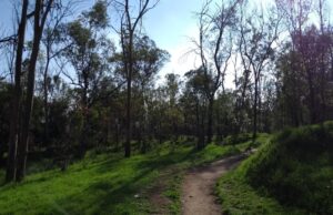 Apoya AMLO ampliación de Parque de los Remedios en Naucalpan