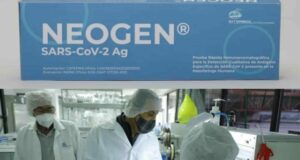 Lanzan Neogen, la primera prueba covid-19 hecha en México