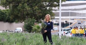 Impulsa Huixquilucan bienestar de medio ambiente con jardines polinizadores