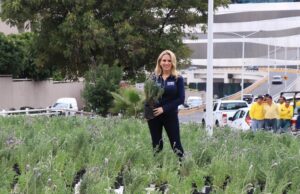 Impulsa Huixquilucan bienestar de medio ambiente con jardines polinizadores