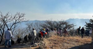 Incendio forestal en Monte Albán controlado tras seis horas de trabajo