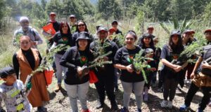 Gobierno de Huixquilucan impulsa jornadas de reforestación de zonas boscosas