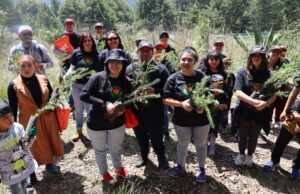 Gobierno de Huixquilucan impulsa jornadas de reforestación de zonas boscosas