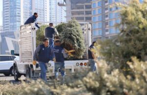 Lanza Romina Contreras campaña de reciclaje de árboles en Huixquilucan