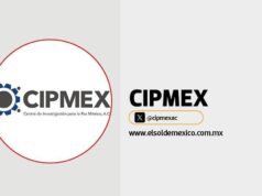 Fútbol para la paz: uniendo corazones en tiempos de conflicto