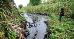 Cómo Pemex cambió la narrativa del derrame en el Golfo de México