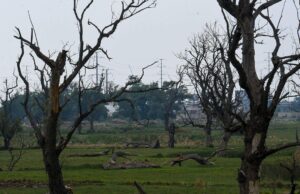 Aumento de calor extremo impacta la agricultura y la música del mundo
