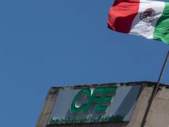 CFE reporta ganancias récord impulsadas por ventas de energía en 2025