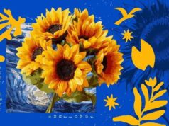 La relación fascinante entre los girasoles y el Sol en la naturaleza