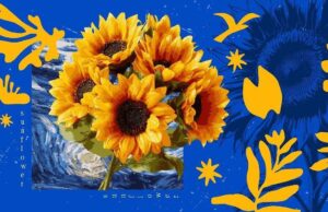 La relación fascinante entre los girasoles y el Sol en la naturaleza