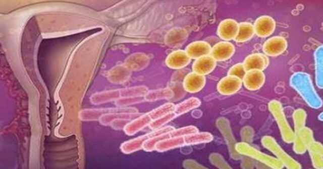 infecciones-vaginales-salud-femenina-mexico