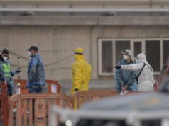 ECDC aclara situación del hantavirus en crucero y recomendaciones sanitarias