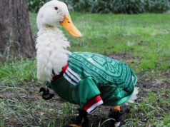 El Pato Merlín y Jorge Campos unen fuerzas en nueva edición especial de Boing