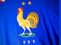 La historia del gallo y las estrellas en el escudo de Francia