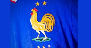 La historia del gallo y las estrellas en el escudo de Francia