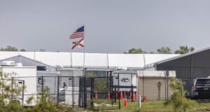Grupo humanitario busca proteger a 108 niños migrantes de deportación