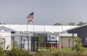 Grupo humanitario busca proteger a 108 niños migrantes de deportación