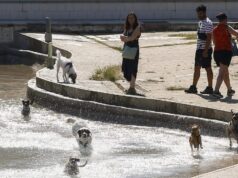 Crisis de salud en Alemania por ola de calor mortal en junio