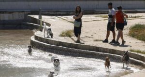 Crisis de salud en Alemania por ola de calor mortal en junio