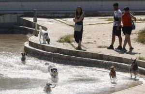 Crisis de salud en Alemania por ola de calor mortal en junio