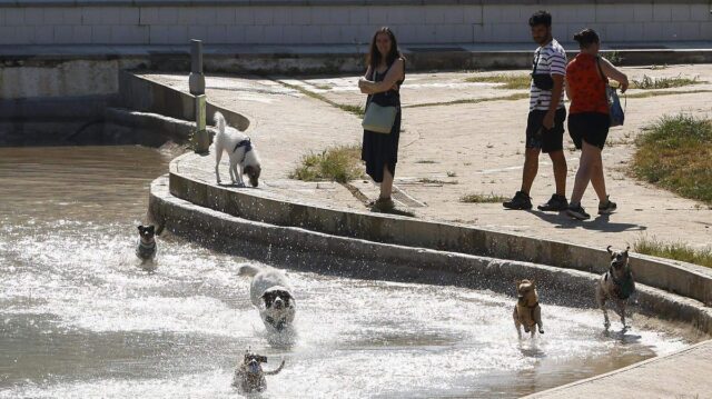 crisis-salud-alemania-ola-calor-mortal-junio