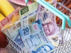 Hogares mexicanos gastan 24,801 pesos al mes en alimentos y transporte