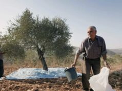 Colonos israelíes agreden a diplomáticos europeos en Cisjordania
