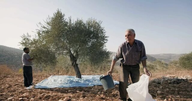 colonos-israelies-agreden-a-diplomaticos-europeos